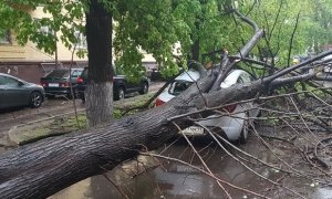 «Росгосстрах» оценил ущерб от московского урагана в 25 млн рублей