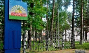 В Ярославской области из-за вспышки кишечной инфекции закрыли детский лагерь