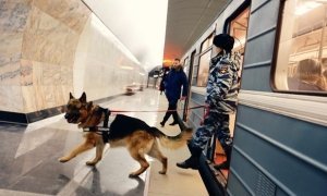 Московская полиция заказала 45 овчарок с «крепкими нервами» для охраны метрополитена