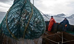 Эксперты предупредили о росте цен на рыбу из-за новых требований ФСБ
