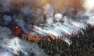 Алтайские чиновники обратились за помощью к епархии в борьбе с лесными пожарами