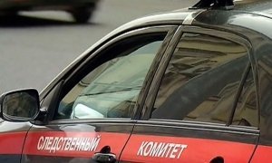 В лесу около аэропорта Шереметьево обнаружена иномарка с трупом мужчины  