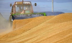 Минсельхоз сообщил о ежегодных потерях 15 млн тонн зерна при уборке урожая