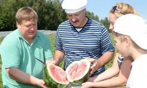 Россельхознадзор заинтересовался происхождением «белорусских» арбузов и папайи
