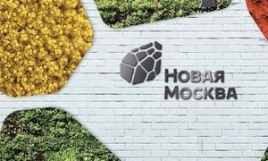 Тина Канделаки представила бренд Новой Москвы за 16 млн рублей