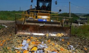 Прокуратуру привлекут к выявлению и уничтожению санкционных продуктов