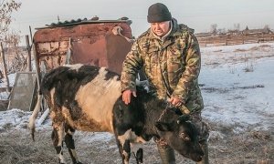 Власти извинились перед фермером за уголовное дело о покупке GPS-трекера для теленка
