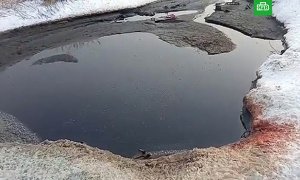 В Омской области обнаружили «озеро из крови». Россельхознадзор проводит проверку
