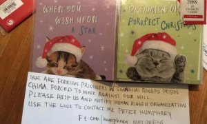 В Великобритании шестилетняя девочка нашла в рождественской открытке записку от китайских заключенных