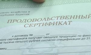 На Урале пенсионерам во время выборов выдадут продуктовые карточки номиналом 150 рублей