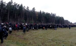 Власти Польши и Литвы стягивают войска к границе с Беларусью из-за потока мигрантов