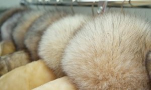 В России запретят продажу меховых изделий без специальных чипов