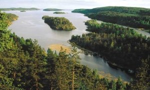 Минприроды передаст «Роснефти» 4000 га земли в Национальном парке «Ладожские шхеры»