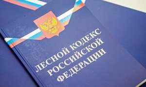Прокуратура уличила Минлесхоз Иркутской области в преступном бездействии