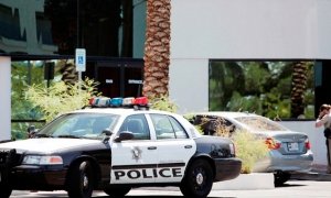 Число погибших в результате стрельбы на фестивале в Лас-Вегасе выросло до 20 человек