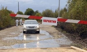 В Новой Москве на два месяца установлен карантин по бешенству