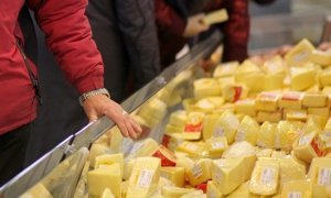 Специалисты Россельхознадзора признали 80% отечественных сыров фальсификатом