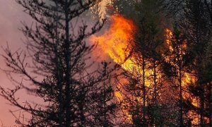 В Якутии не могут потушить лесные пожары из-за нехватки людей и изношенной техники