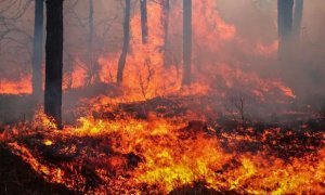 В Забайкалье скончался один из пострадавших в результате природных пожаров