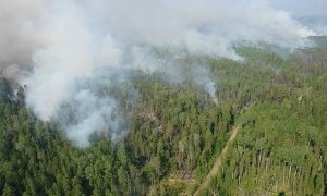 МЧС бьет тревогу из-за лесных пожаров