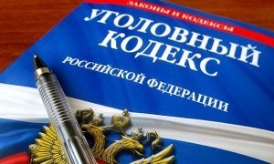 Госдума поддержала смягчение наказания за побои близких родственников