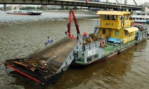 Власти столицы обвинили горожан в загрязнении акватории Москва-реки мусором