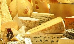 В Краснодарском крае из магазинов изъяли импортный сыр и засыпали его хлоркой
