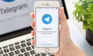 Угрозы Роскомнадзора о блокировке Telegram в разы повысили популярность мессенджера  