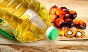 Россельхознадзор предложил ввести контроль за оборотом пальмового масла