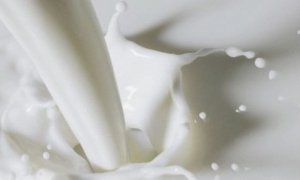 На прилавках магазинов России появятся молоко и подгузники «Печалька»