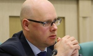 Сенатор Антон Беляков предложил смягчить статью о демонстрации нацистской символики