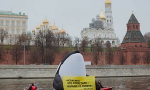 Активистов «Гринпис» задержали за акцию в Москва-реке против вылова китообразных