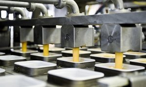 Российских производителей обяжут маркировать продукцию с пальмовым маслом