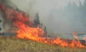 В Якутии объявили режим ЧС. Лесные пожары угрожают населенным пунктам