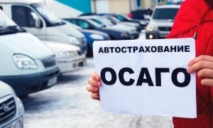 Правительство не поддержало законопроект об увеличении штрафа за езду без ОСАГО