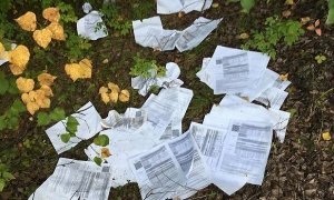 Забайкальская «Почта России» уволила сотрудницу, выбросившую письма в лес