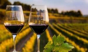 Власти Крыма решили развивать винный туризм на полуострове  