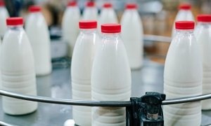 Россельхознадзор отложил введение запрета на поставку белорусской «молочки»