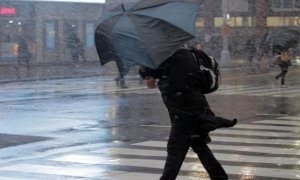 В Москве объявлено штормовое предупреждении. Ожидаются сильный ветер и гроза