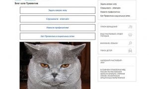 В Ростовской области профилактикой преступлений займется кот-полицейский