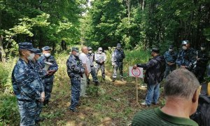 Росгвардия выявила нарушения в деятельности ЧОП, сотрудники которого разгоняли защитников Куштау