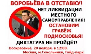 Подмосковные депутаты выйдут на митинг против реформы местного самоуправления в регионе