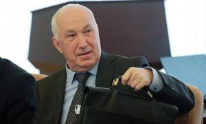 Борцы с коррупцией обнаружили у семьи экс-мэра Хабаровска шесть домов в США