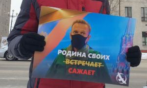 Жители регионов Дальнего Востока и Сибири проводят одиночные пикеты в поддержку Алексея Навального