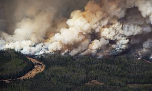 Дым от лесных пожаров в Сибири и на Дальнем Востоке достиг Северного полюса