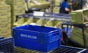 Сотрудники «Почты России» не смогли найти потерявшееся письмо депутата Епифановой