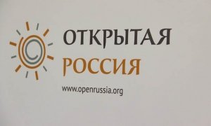СПЧ пообещал разобраться в уголовном деле активистки движения «Открытая Россия»