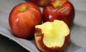 Американские ученые вывели сорт яблок, которые не портятся целый год