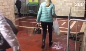 Пассажиры московского метро опубликовали доказательство подтопления станции «Парк Культуры»