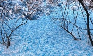В Санкт-Петербурге выпал снег синего и фиолетового цветов